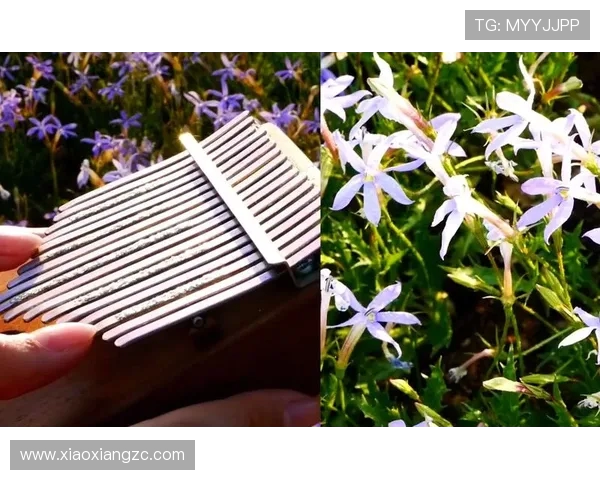 寮堣捣鎴愰暱锛氭柟瀵告鐩橀棿鐨勫弸璋婁笌铚曞彉